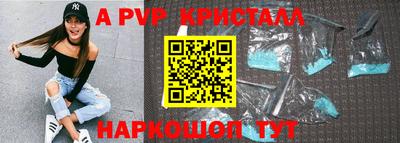бошки Кингисепп