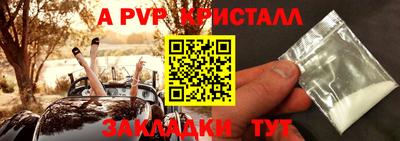 бошки Кингисепп