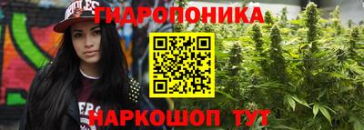 шишки Кинель