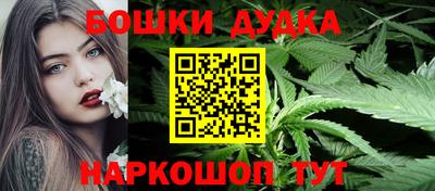 бошки Кингисепп