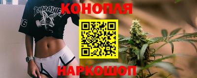бошки Кингисепп