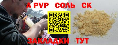 бошки Кингисепп