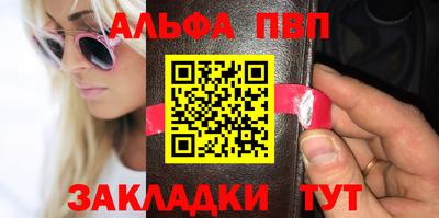 бошки Кингисепп