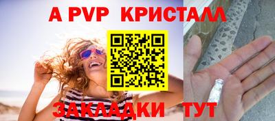 шишки Кинель
