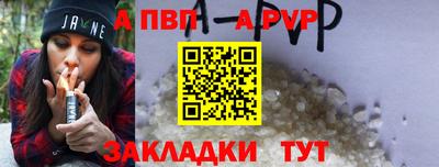 бошки Кингисепп
