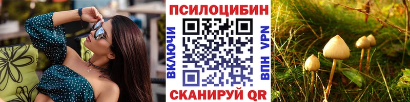 магазин продажи наркотиков  Мытищи  Псилоцибиновые грибы MAGIC MUSHROOMS 