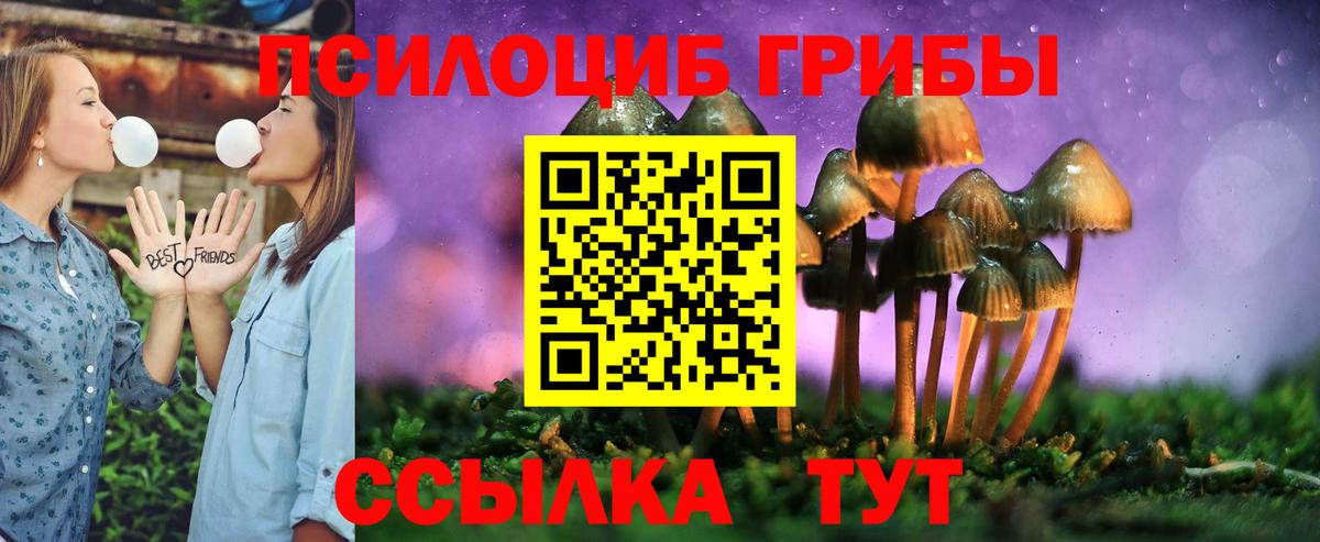 Галлюциногенные грибы прущие грибы  Вход с VPN  Мытищи 